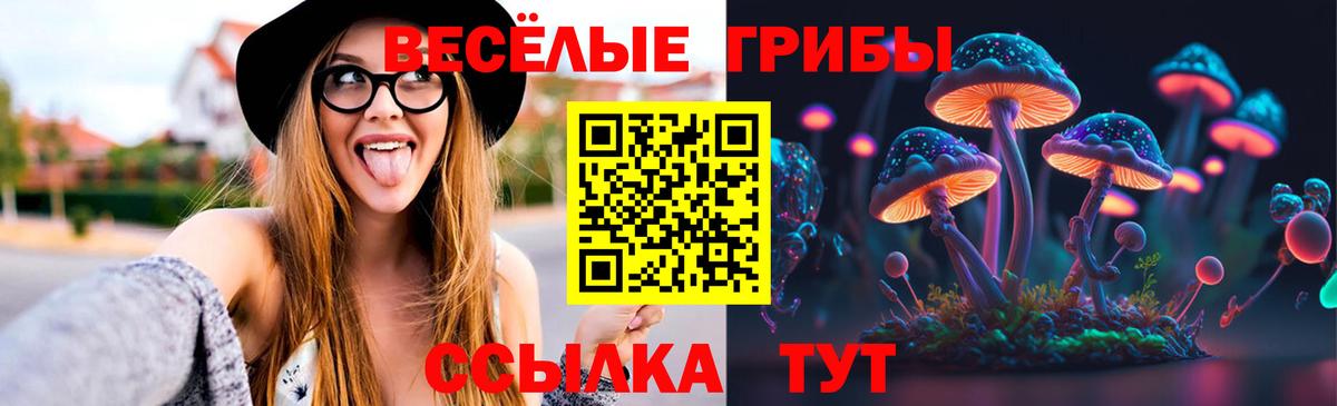 Галлюциногенные грибы прущие грибы Южно-Сахалинск