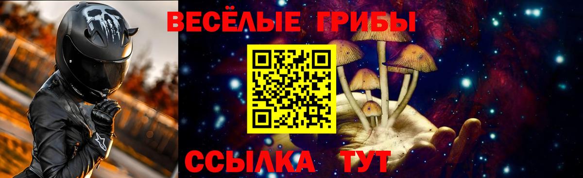 Южно-Сахалинск  Галлюциногенные грибы GOLDEN TEACHER  Вход с VPN 